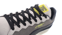 画像をギャラリービューアに読み込む, Puma SUEDE 2 STAPLE "GIDRA" "STAPLE PIGEON" FLAT LIGHT GRAY/COOL DARK GRAY 6