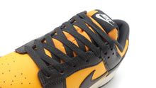 画像をギャラリービューアに読み込む, NIKE DUNK LOW RETRO SUNDIAL/ANTHRACITE/SAIL 6
