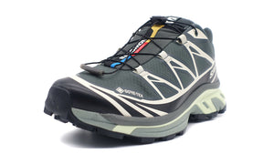 SALOMON XT-6 GTX "GORE-TEX" URBAN CHIC/BLACK/LIME CREAM 1
