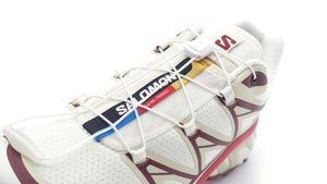 SALOMON XT-6 VANILLA ICE/GREEN HAZE/FIRED BRICK 6